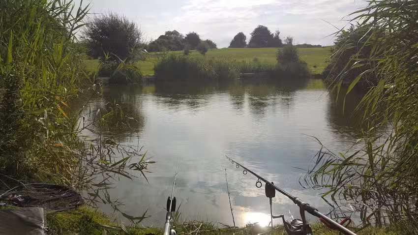 Flaxlands Fishery