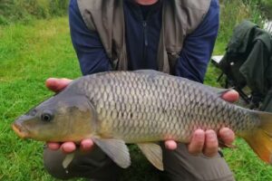 Flushing Meadows Fisheries