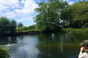 flyfishingsussex.com