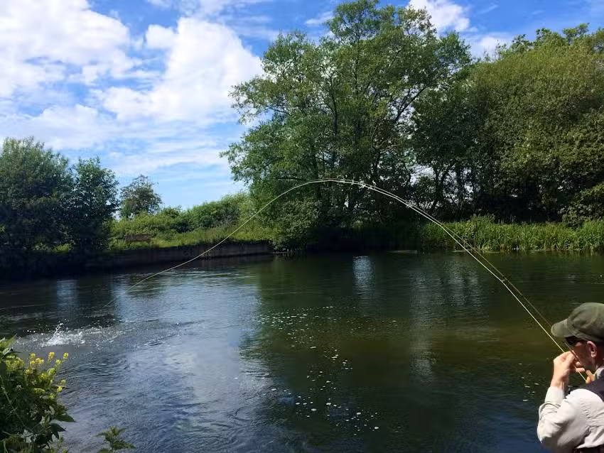 flyfishingsussex.com