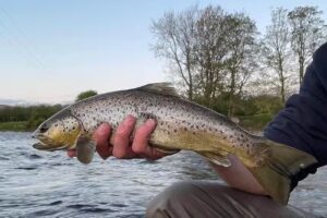 FLYRUN – Fly Fishing Guide Wales