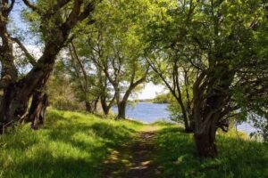 Fontburn Reservoir Fisheries