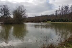 Forty Acre Plantation Lake