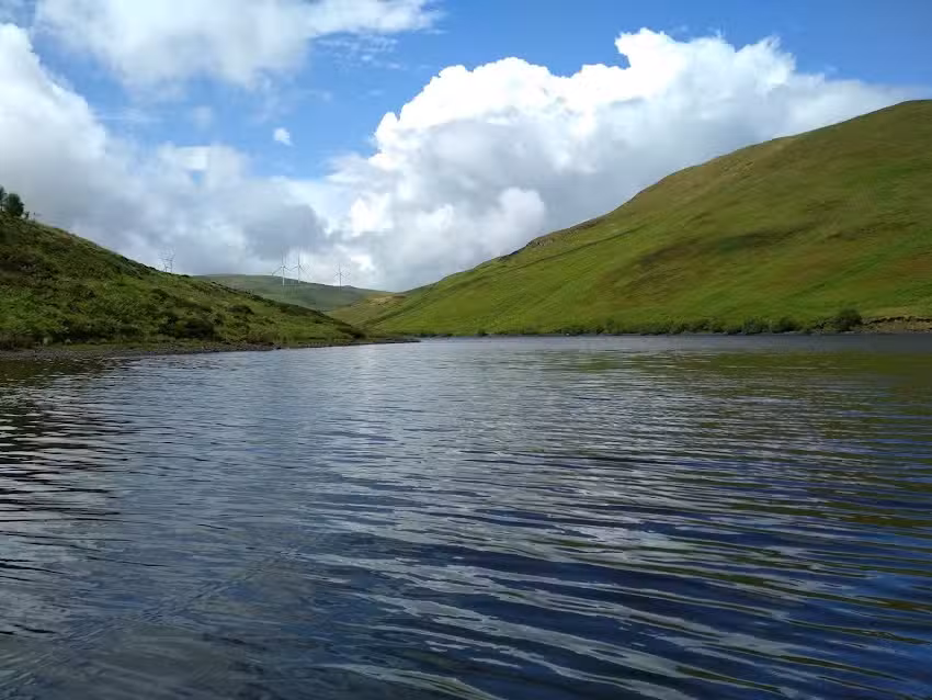 Frandy Fishery