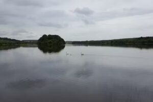 Gartmorn Dam Fishery