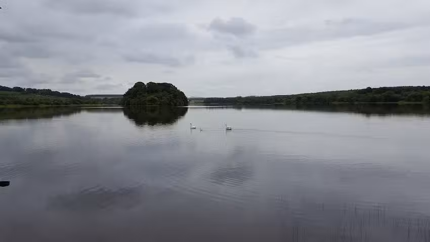 Gartmorn Dam Fishery