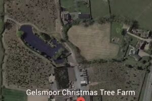 gelsmoor fishing lake