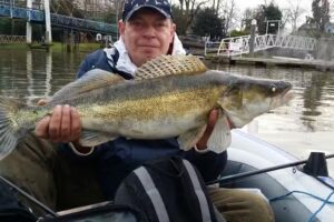 Gerry’s Of Wimbledon