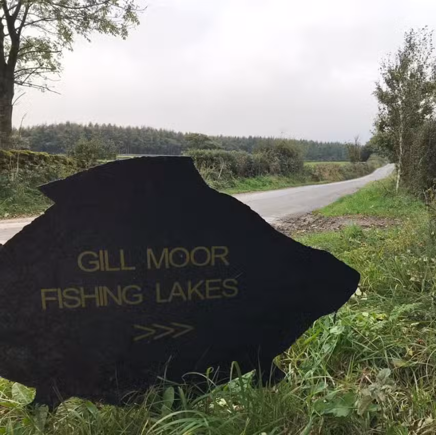 Gillmore Fishing Lakes
