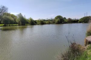 Glamorgan anglers Llantryddyd lake