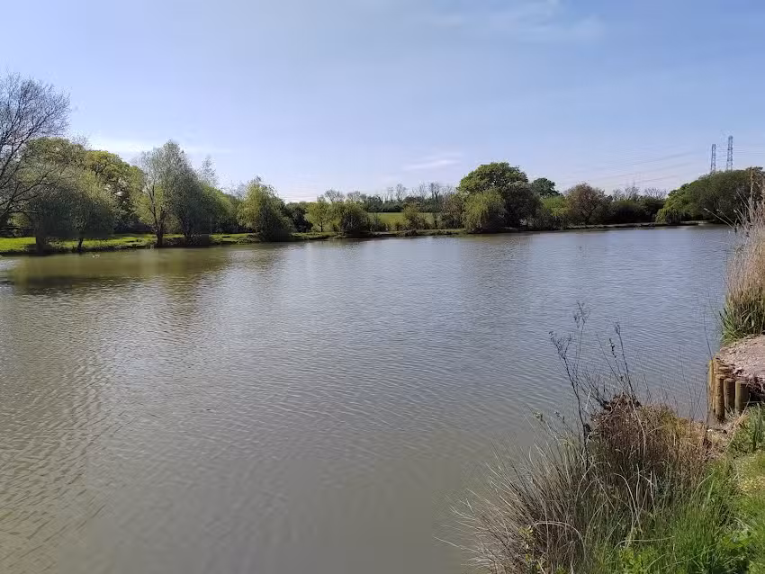Glamorgan anglers Llantryddyd lake