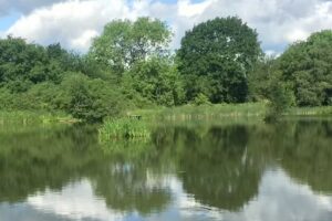 Grafton Mere Fishery