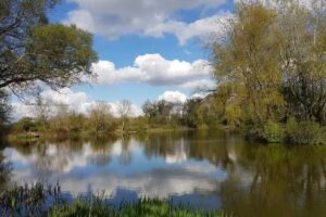 Great Melton Reservoir