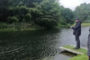 Green Frog Fly Fishing