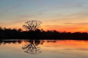 Greendale Fishing Lake