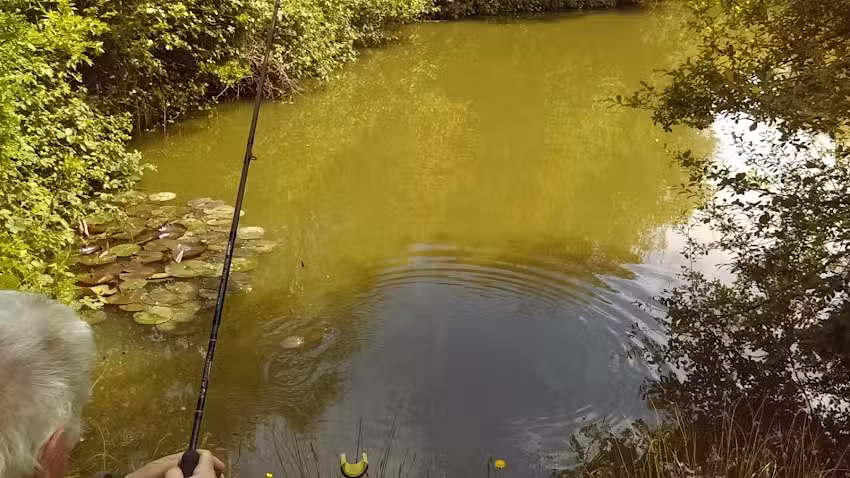 Greenfields Carp Fishing