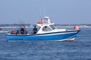 Greg Pitt Sea Fishing