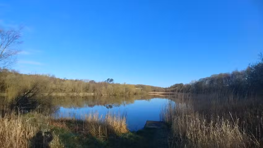 Haig Angling Club