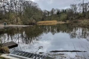 Half Mile Island Fishing Lake