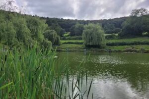 Harescombe Fishery