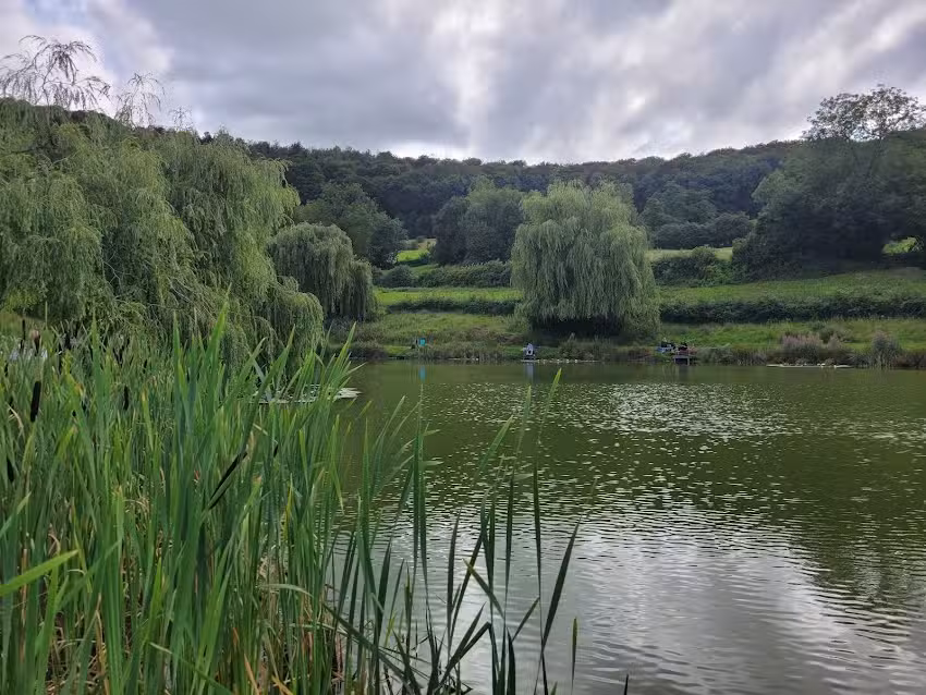 Harescombe Fishery