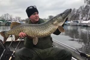 Harris Sportsmail Ltd