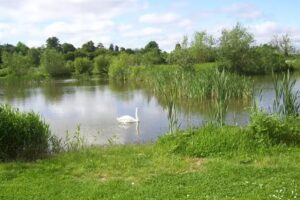 Hawford Bridge Fishery