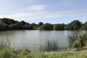 Hawstead Fishing Lakes