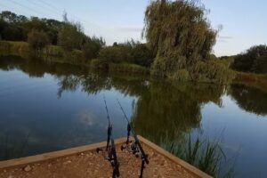 Headlands Farm Fishery