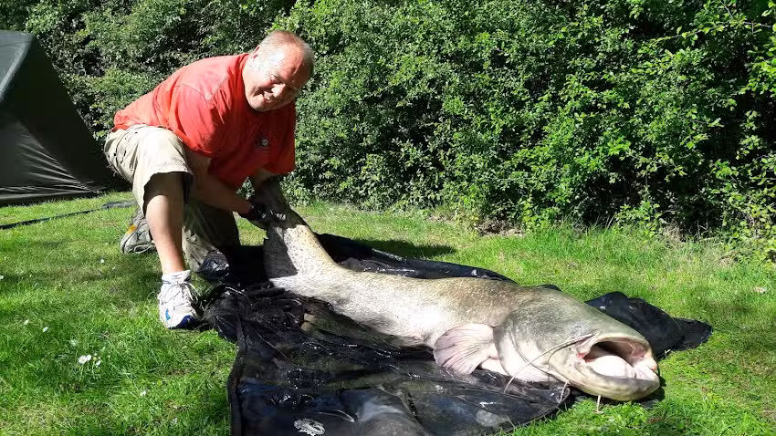 Hemming Fishing Tackle