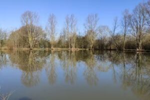 Hicks Farm Fishery (Billericay & District Angling Club) Private.