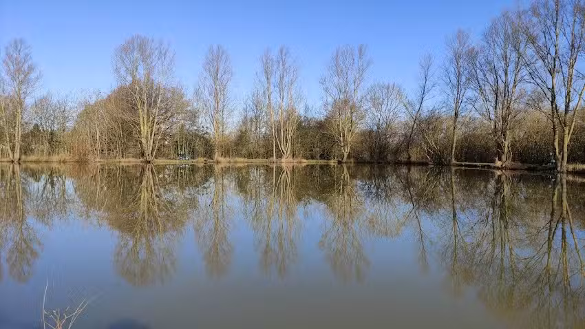 Hicks Farm Fishery (Billericay & District Angling Club) Private.
