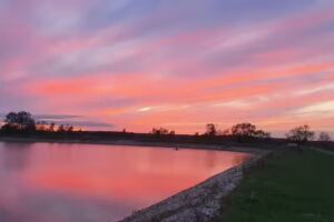 Highbridge Fisheries