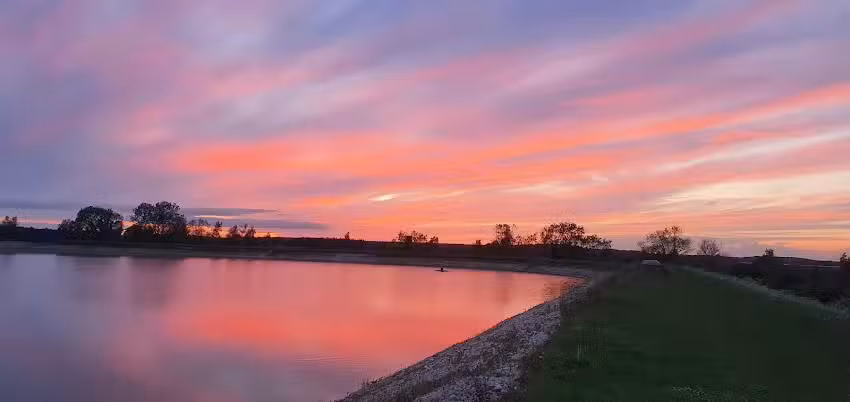 Highbridge Fisheries