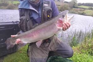 Hillside Trout Fishery