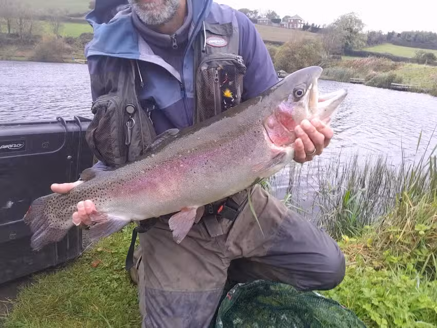 Hillside Trout Fishery