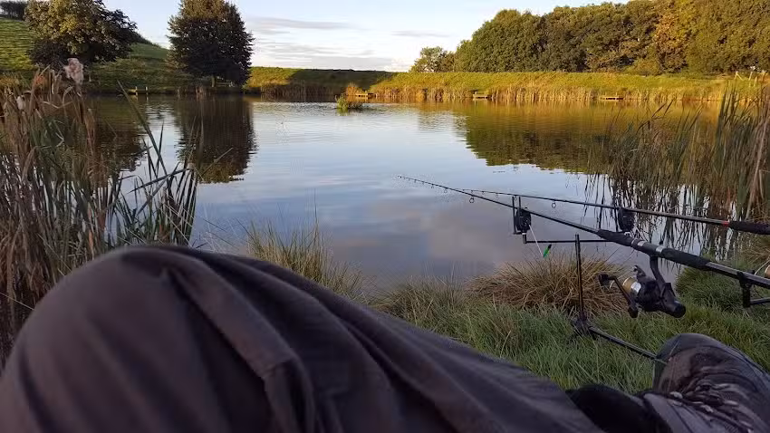 Hollows Farm Fishery