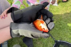 Hollyfarm Trotters , Gills ,Moby lakes and campsite.