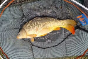 Hosticks Fishing Lakes