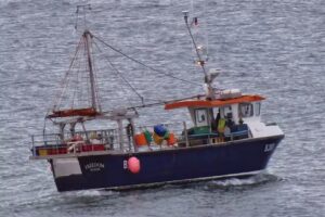 i-Fish Marine Electronics