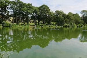 Intake Angling Supplies