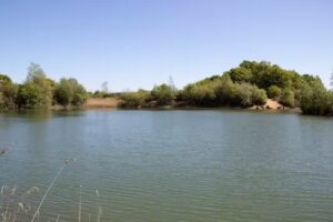 Inworth Grange Lake 2