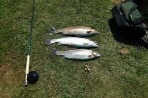 John O Gaunt’s Fishery