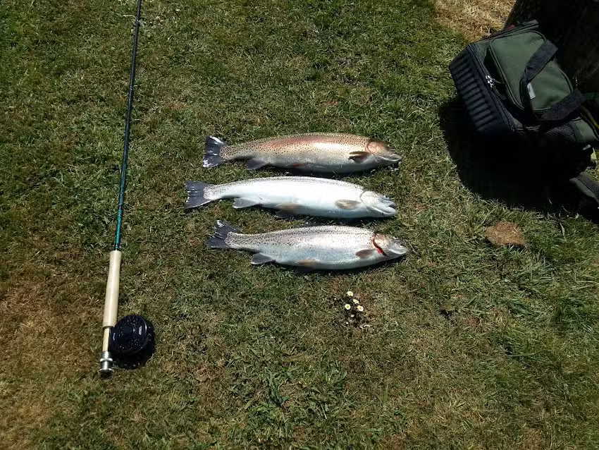 John O Gaunt&rsquo;s Fishery