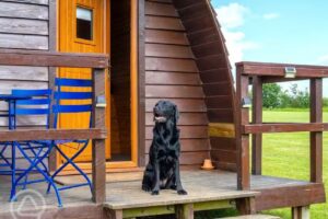 Kettles Farm Glamping
