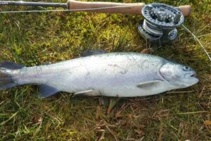 Kilallan Trout Fishery