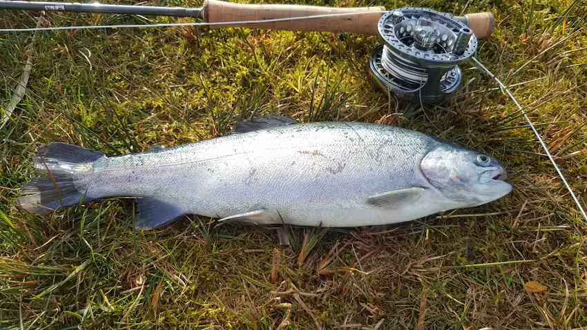 Kilallan Trout Fishery