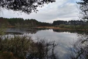 Kildary Loch