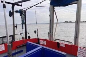 Kingfisher Fishing Trips