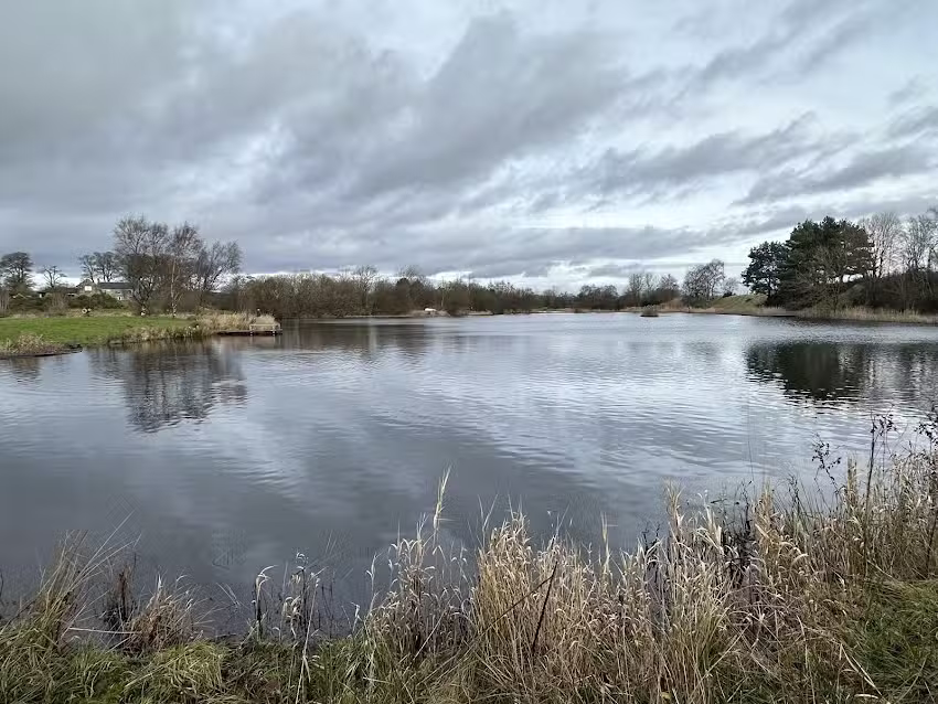 Kinross Trout Fishery